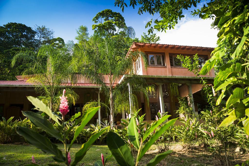 La Villa De Soledad La Ceiba Exteriör bild